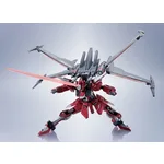 TAMASHII NATIONS METAL ROBOT SPIRITS INFINITE JUSTICE GUNDAM TYPEⅡ